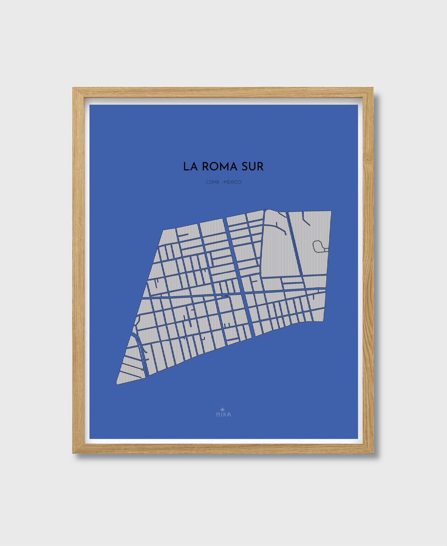 THE MAP - LA ROMA SUR - CDMX - MEXICO