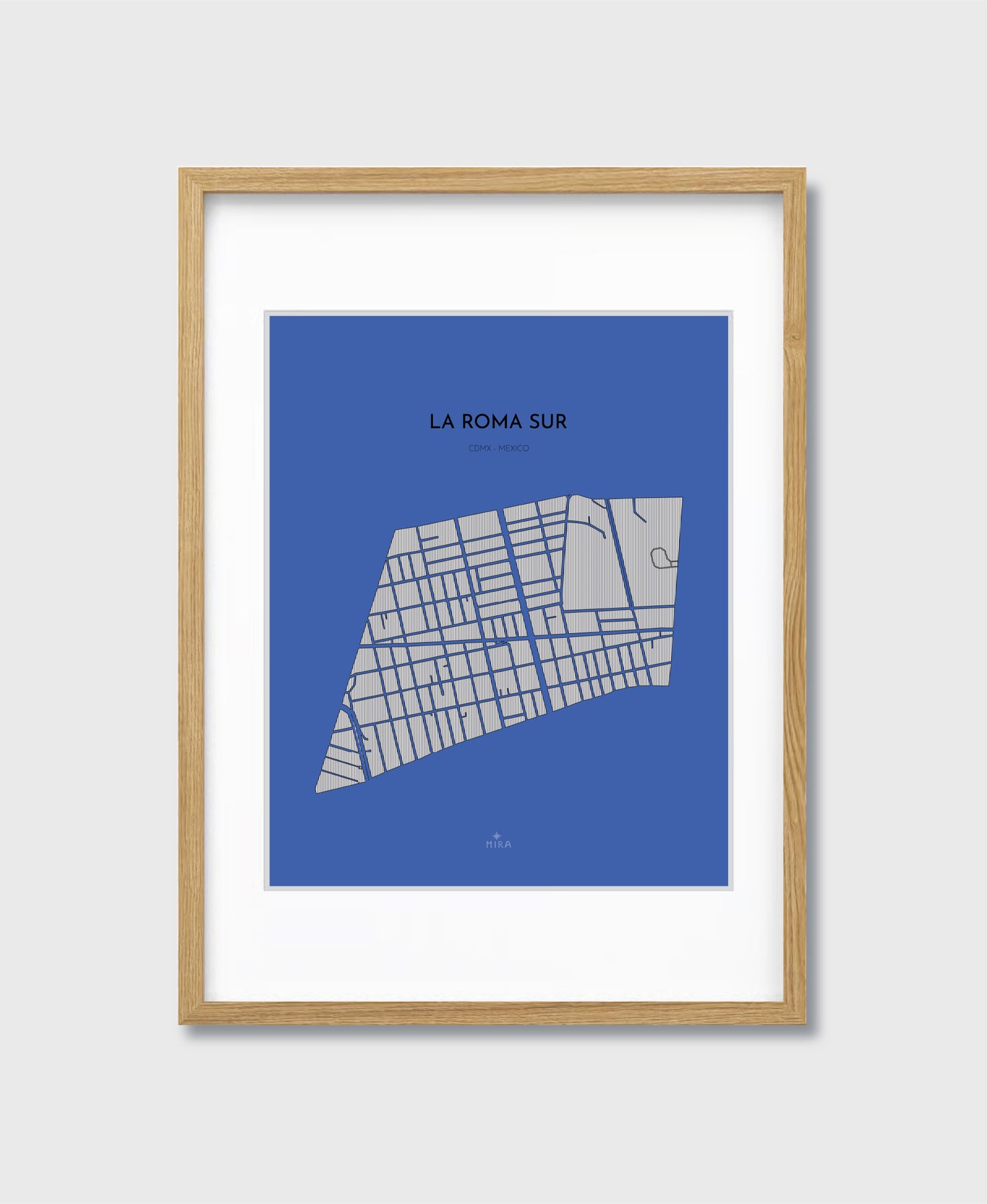 THE MAP - LA ROMA SUR - CDMX - MEXICO