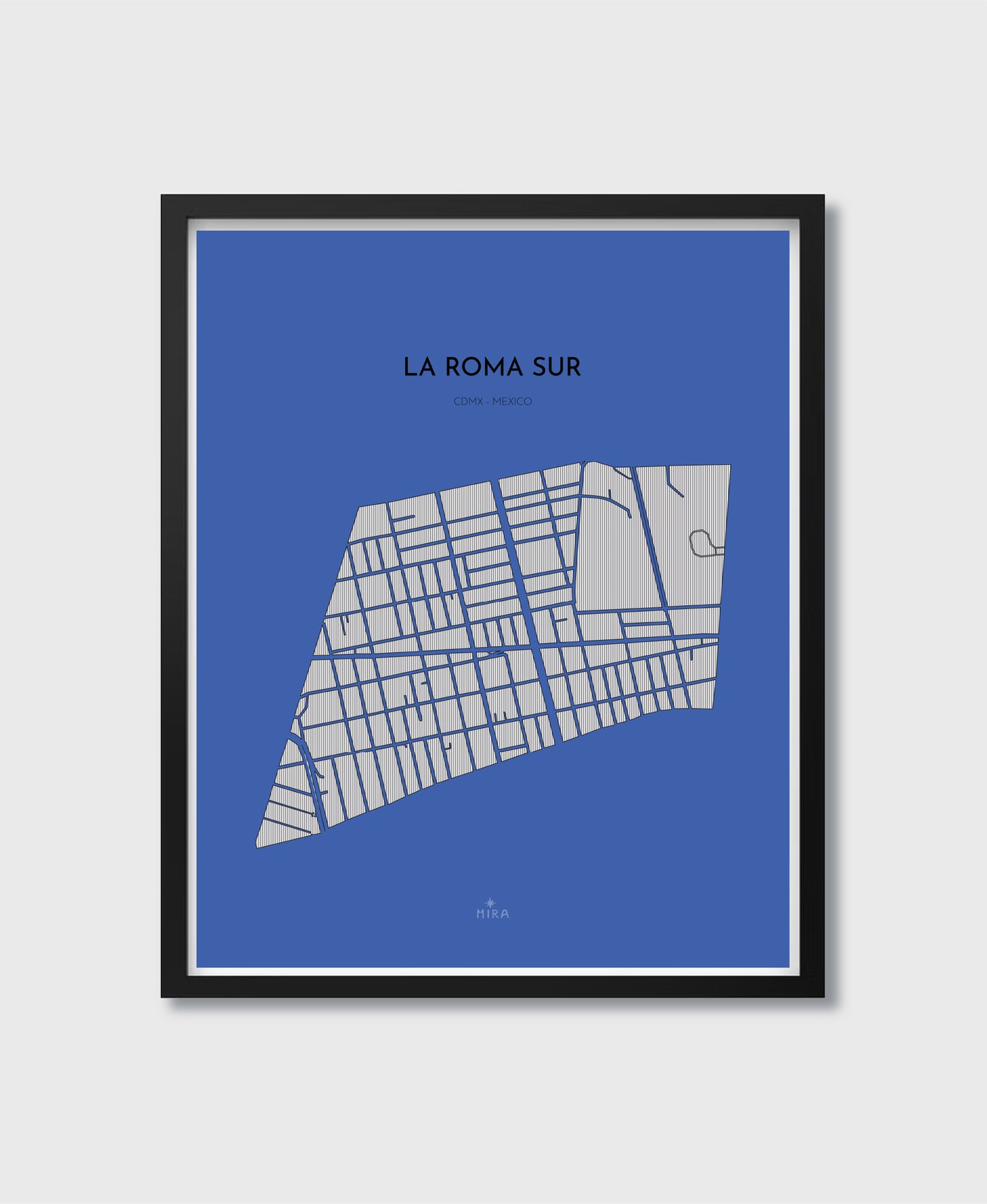 THE MAP - LA ROMA SUR - CDMX - MEXICO