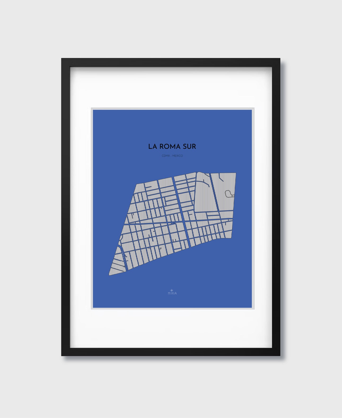 THE MAP - LA ROMA SUR - CDMX - MEXICO