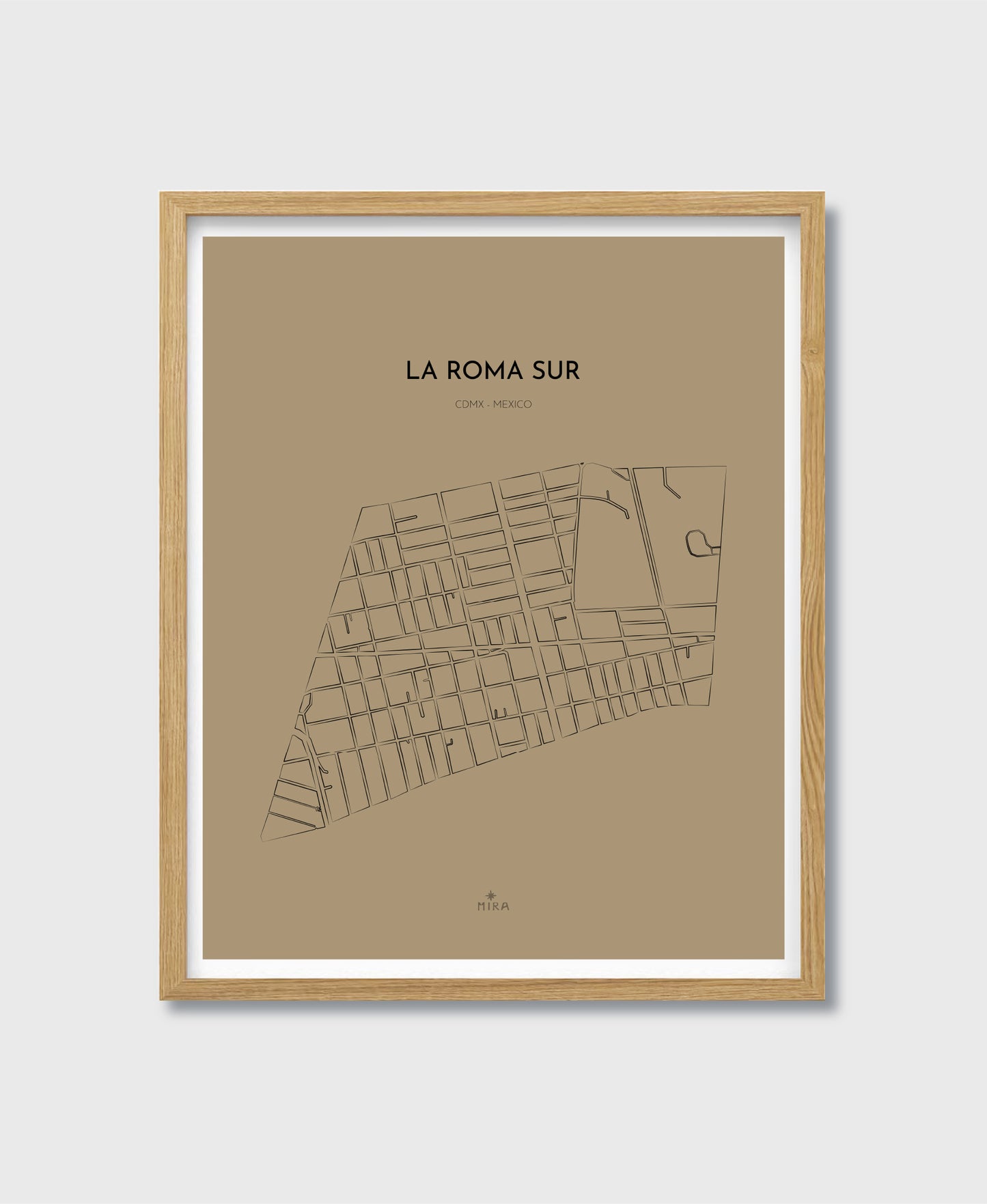 THE MAP - LA ROMA SUR - CDMX - MEXICO