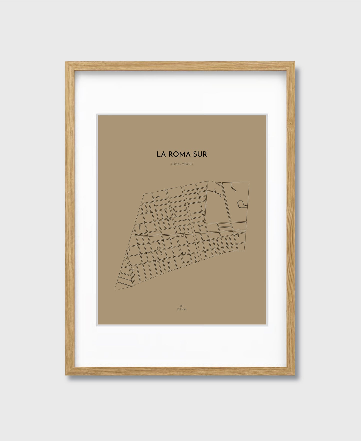 THE MAP - LA ROMA SUR - CDMX - MEXICO