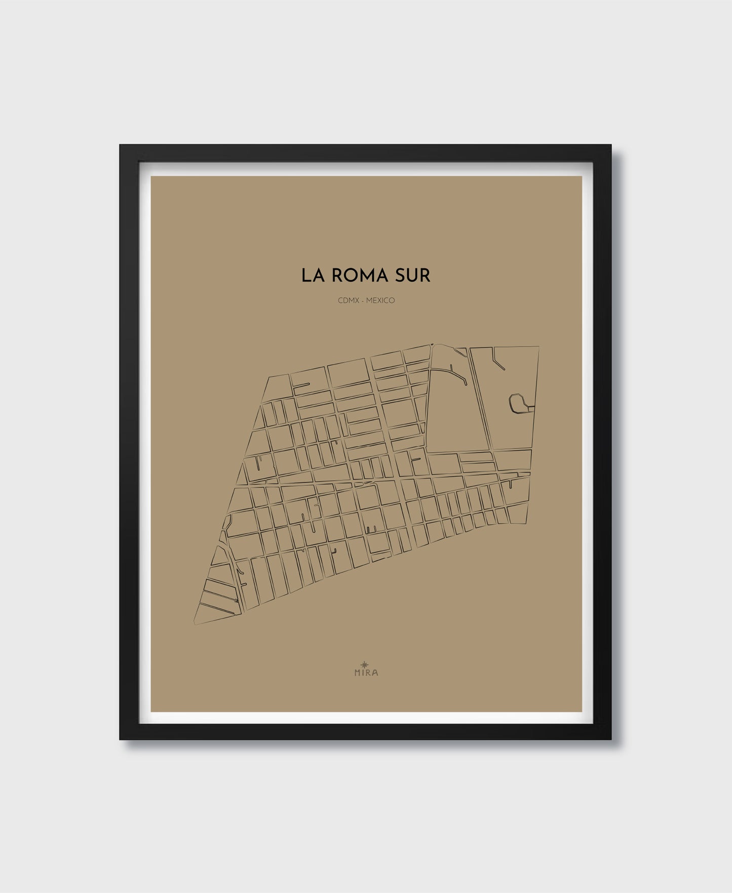 THE MAP - LA ROMA SUR - CDMX - MEXICO