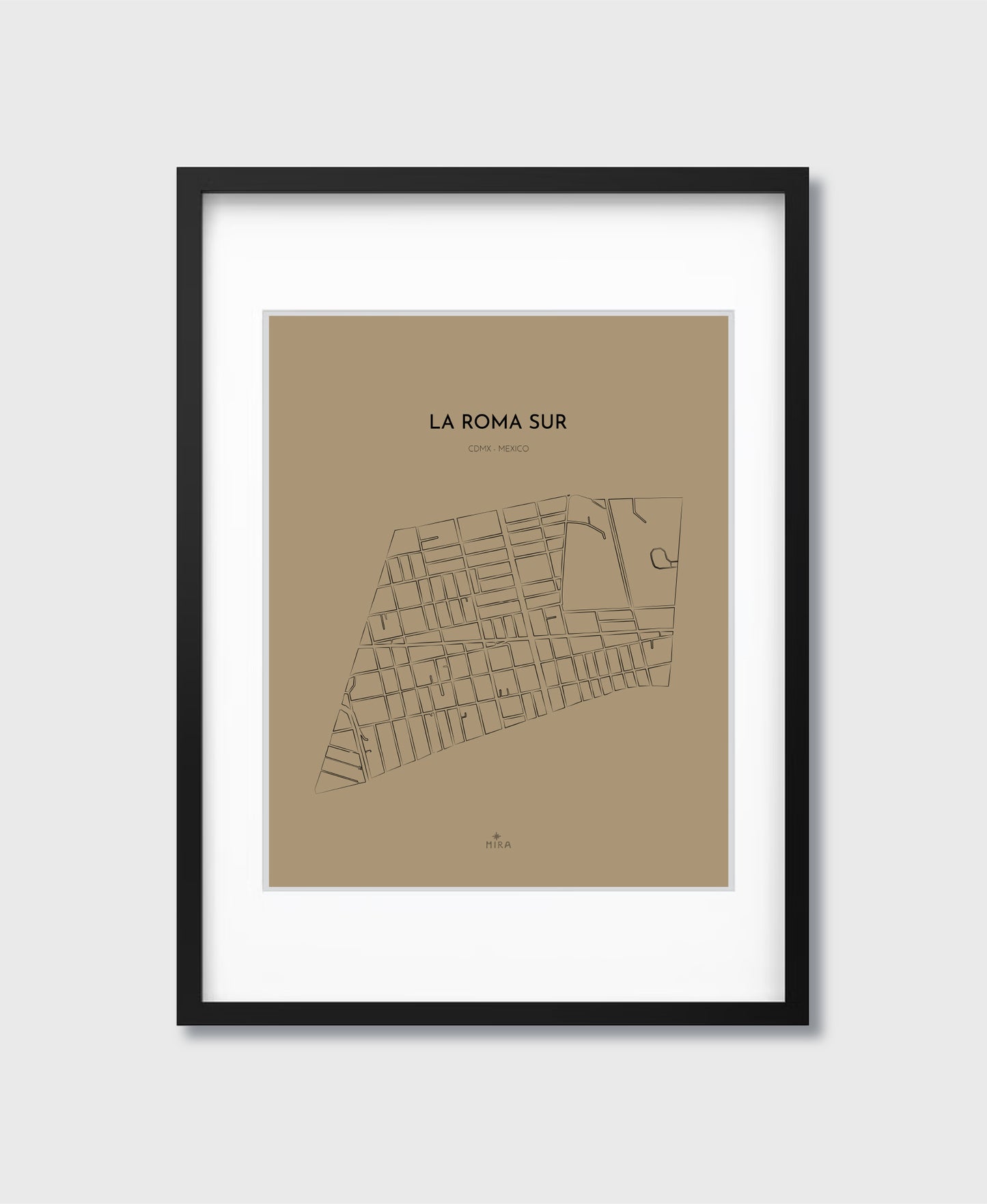 THE MAP - LA ROMA SUR - CDMX - MEXICO