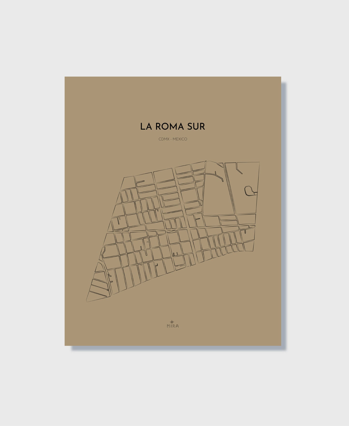 THE MAP - LA ROMA SUR - CDMX - MEXICO