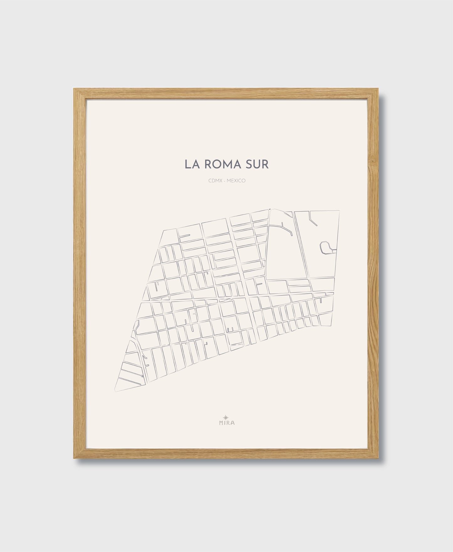 THE MAP - LA ROMA SUR - CDMX - MEXICO