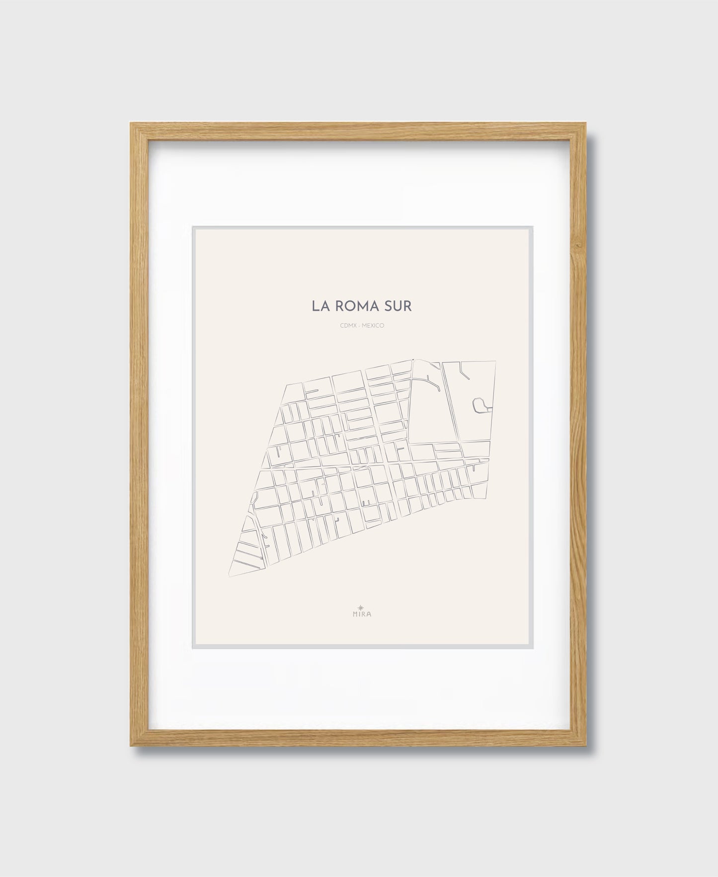 THE MAP - LA ROMA SUR - CDMX - MEXICO