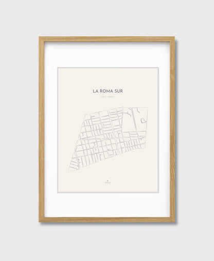 THE MAP - LA ROMA SUR - CDMX - MEXICO