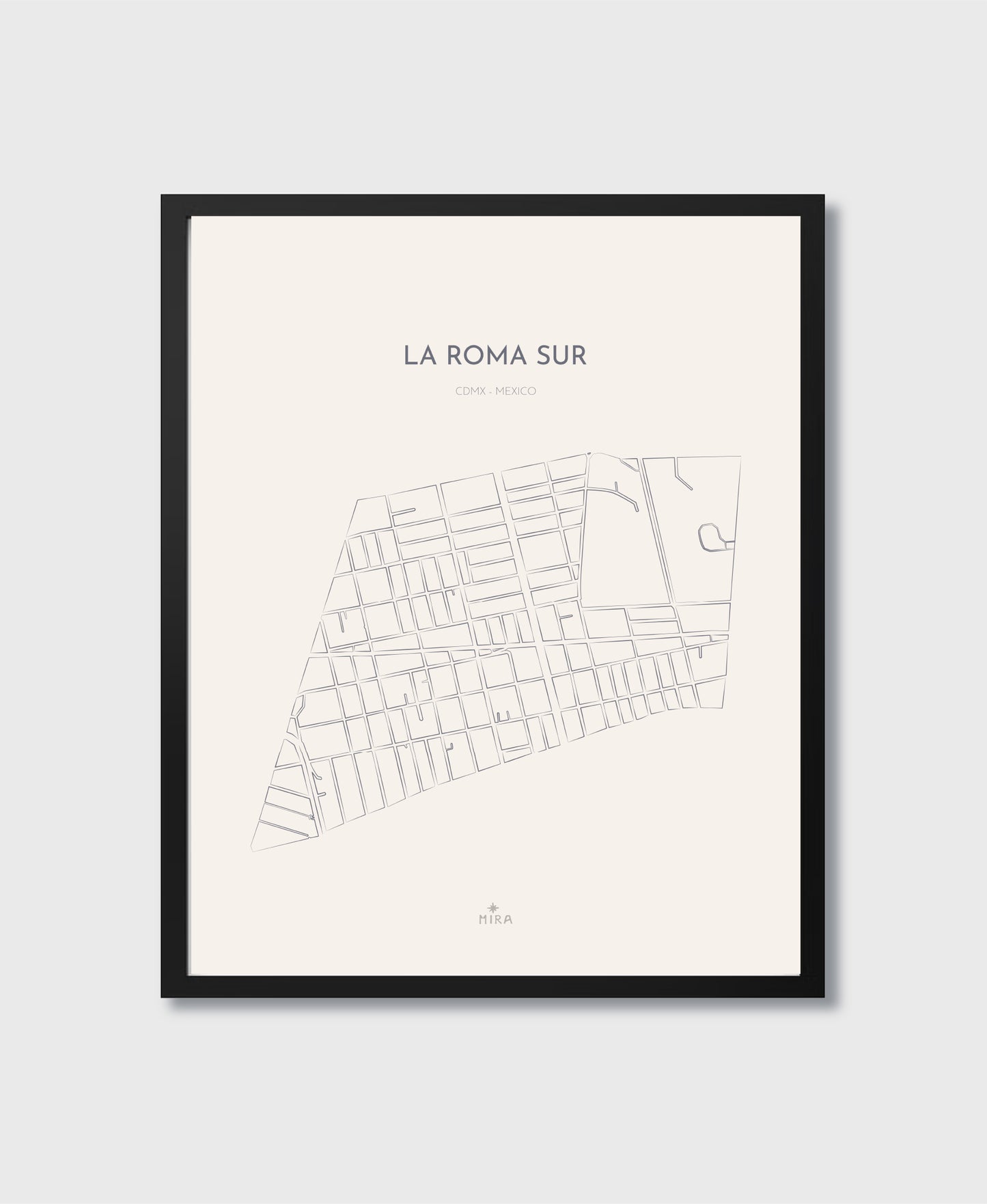 THE MAP - LA ROMA SUR - CDMX - MEXICO