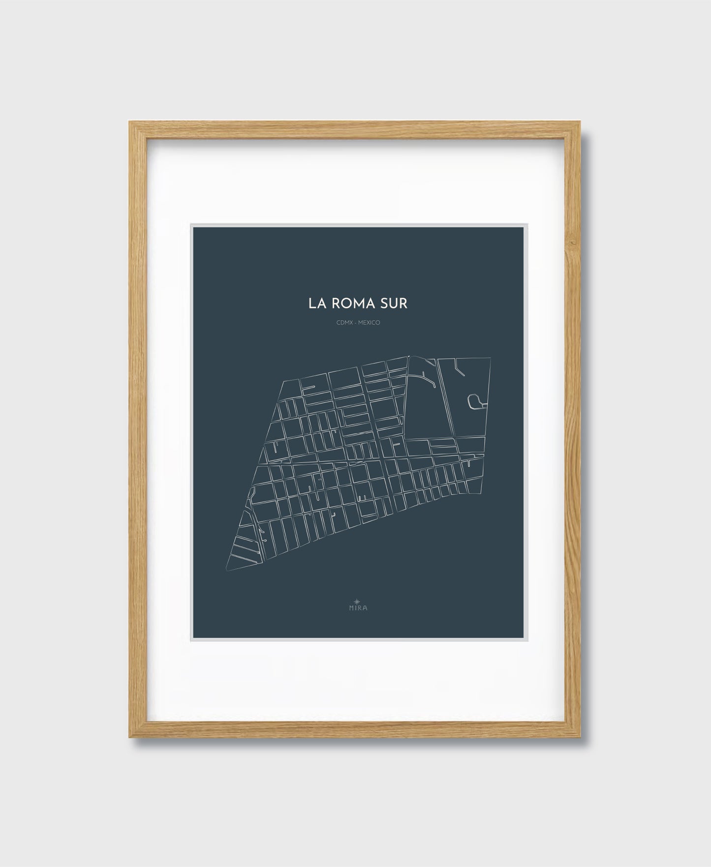 THE MAP - LA ROMA SUR - CDMX - MEXICO