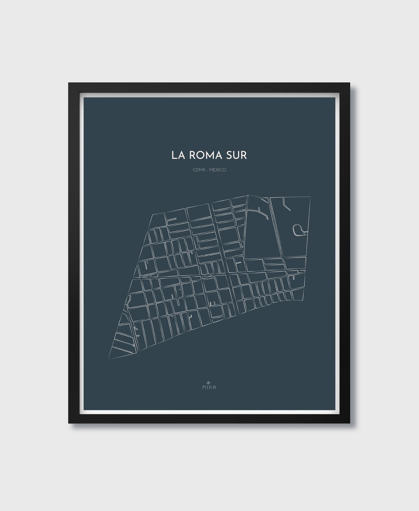 THE MAP - LA ROMA SUR - CDMX - MEXICO