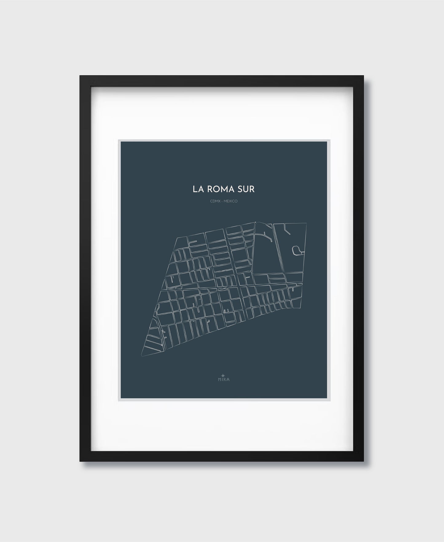 THE MAP - LA ROMA SUR - CDMX - MEXICO