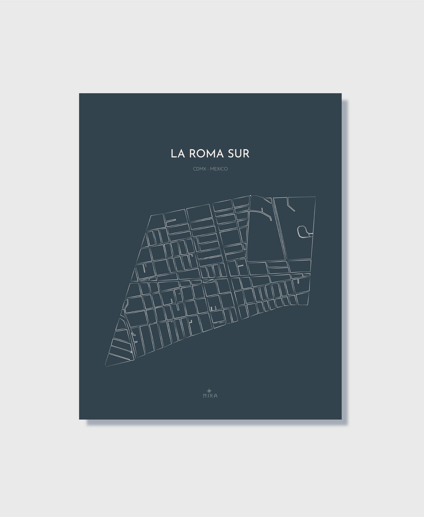 THE MAP - LA ROMA SUR - CDMX - MEXICO