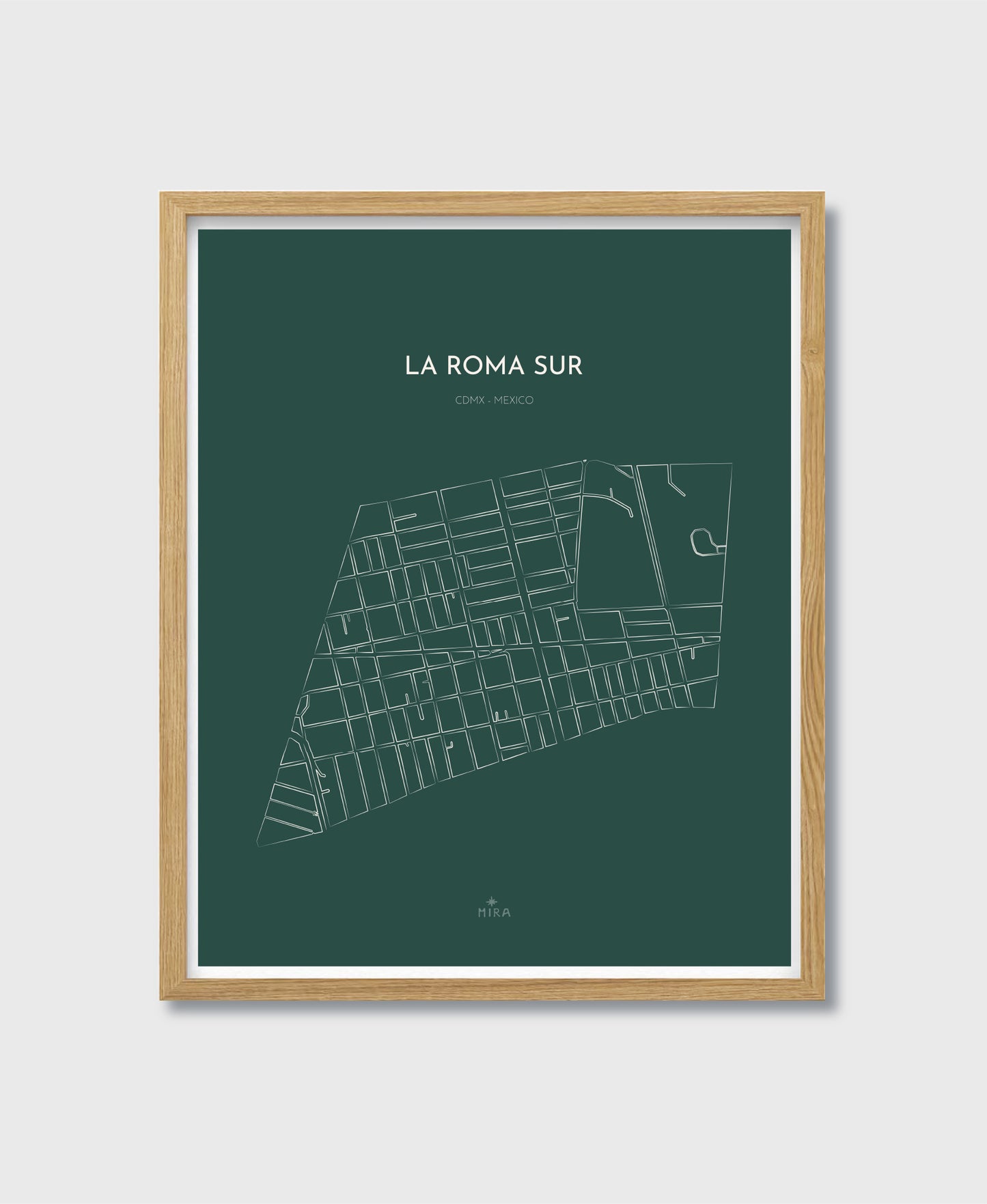 THE MAP - LA ROMA SUR - CDMX - MEXICO