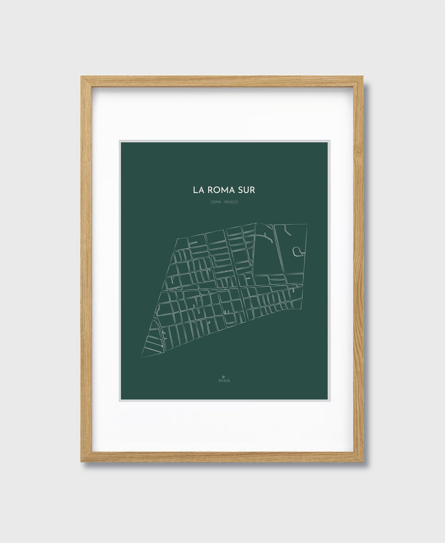 THE MAP - LA ROMA SUR - CDMX - MEXICO