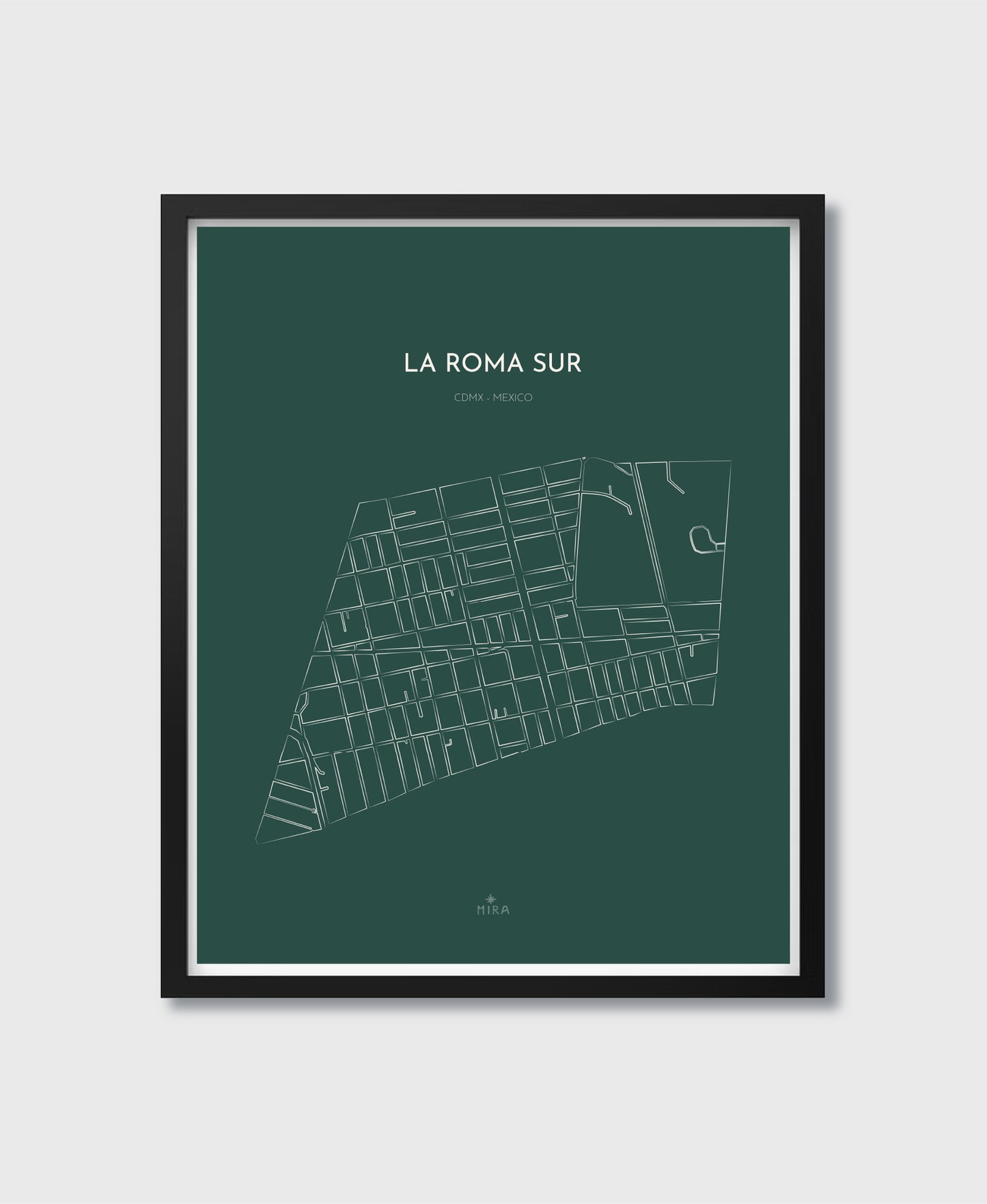 THE MAP - LA ROMA SUR - CDMX - MEXICO