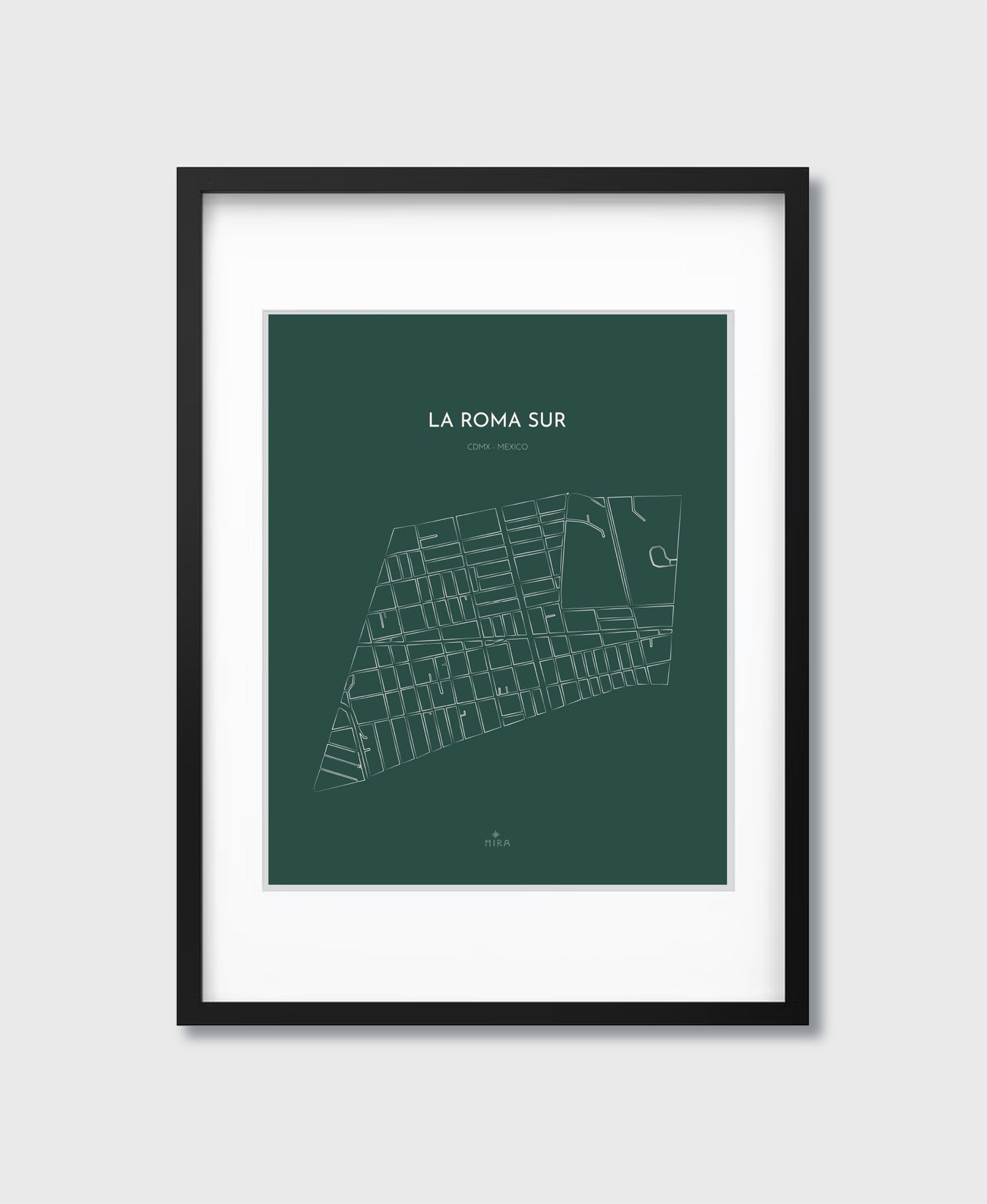 THE MAP - LA ROMA SUR - CDMX - MEXICO