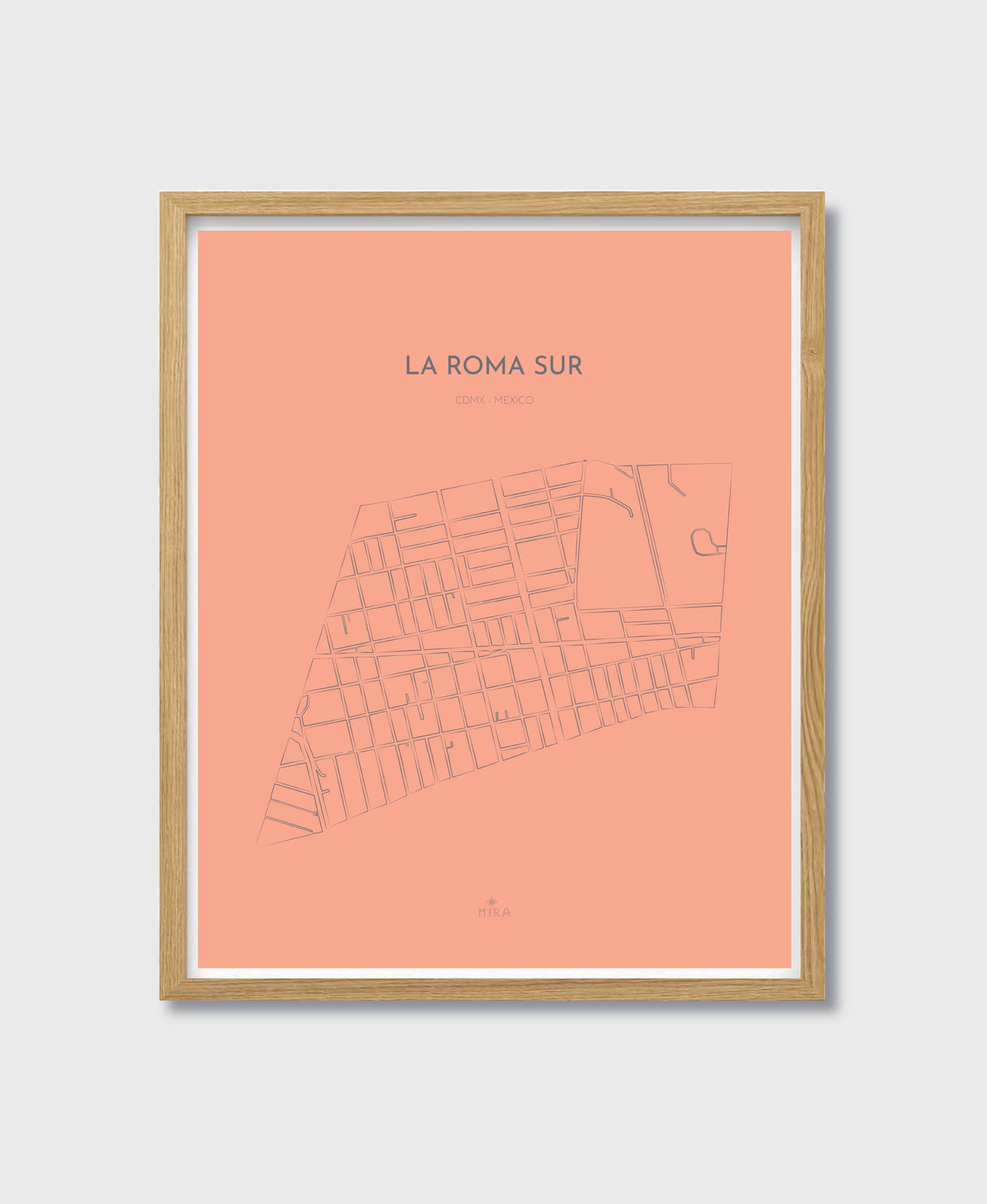 THE MAP - LA ROMA SUR - CDMX - MEXICO