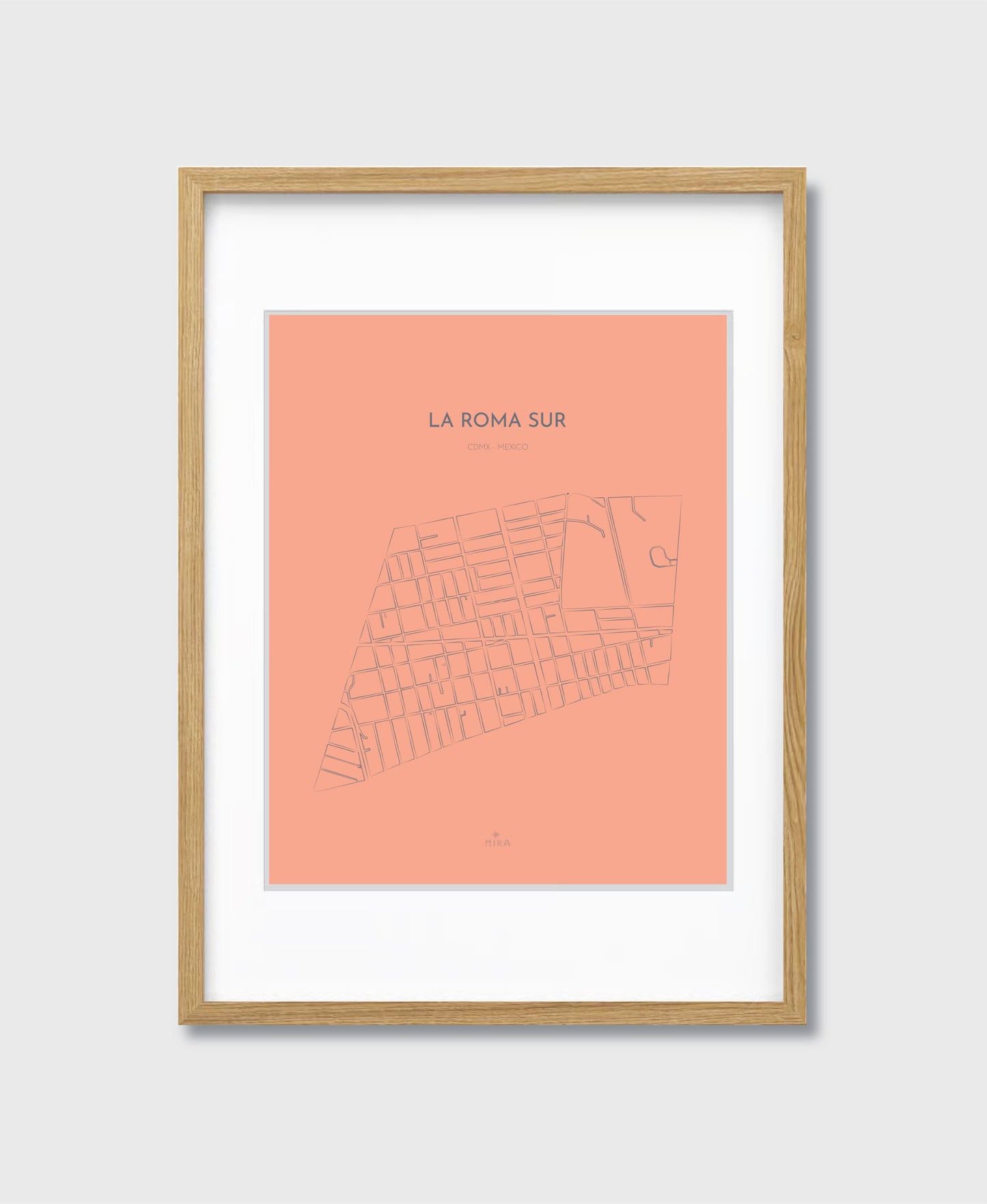 THE MAP - LA ROMA SUR - CDMX - MEXICO