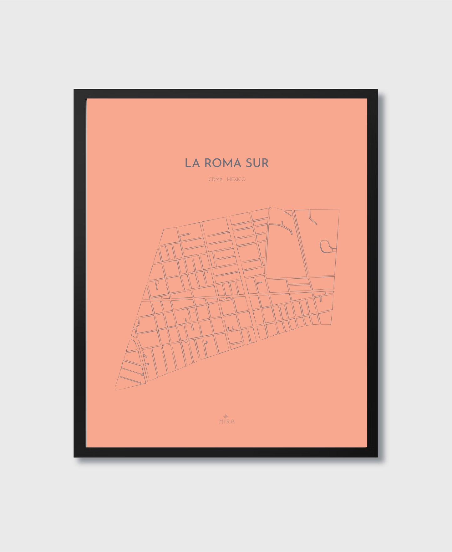 THE MAP - LA ROMA SUR - CDMX - MEXICO