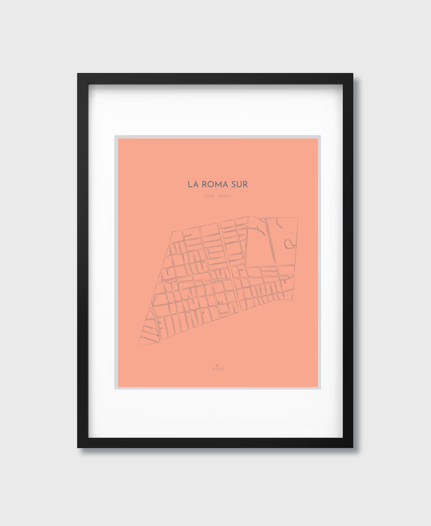 THE MAP - LA ROMA SUR - CDMX - MEXICO