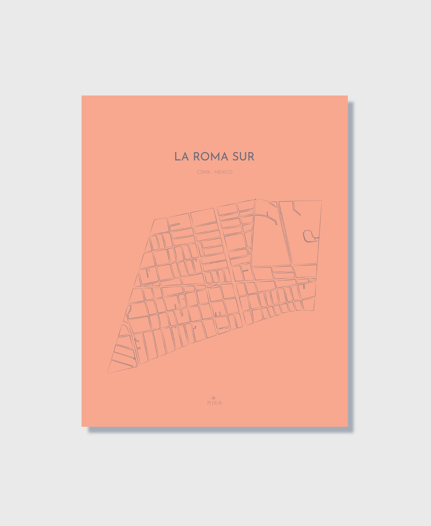 THE MAP - LA ROMA SUR - CDMX - MEXICO