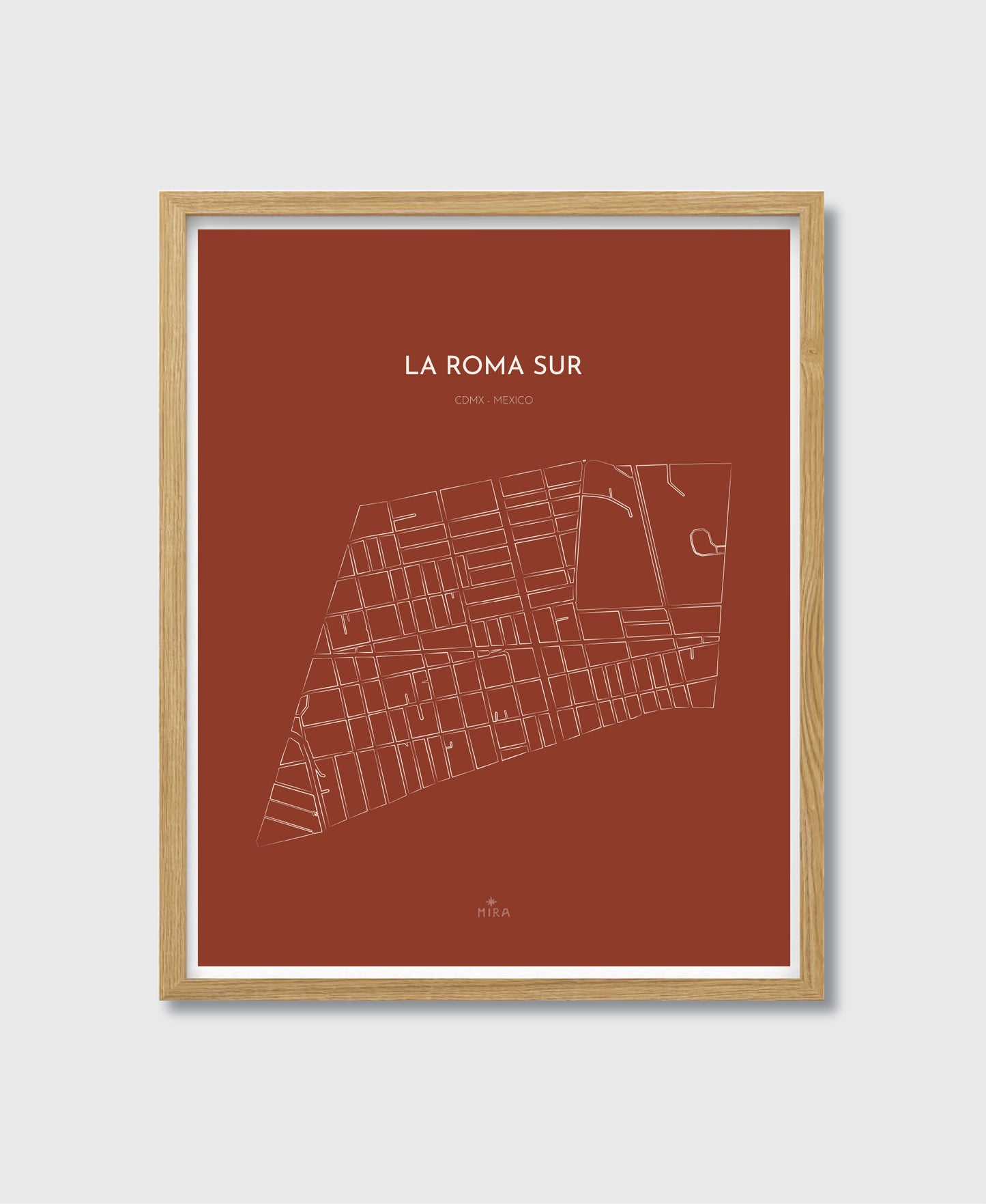 THE MAP - LA ROMA SUR - CDMX - MEXICO