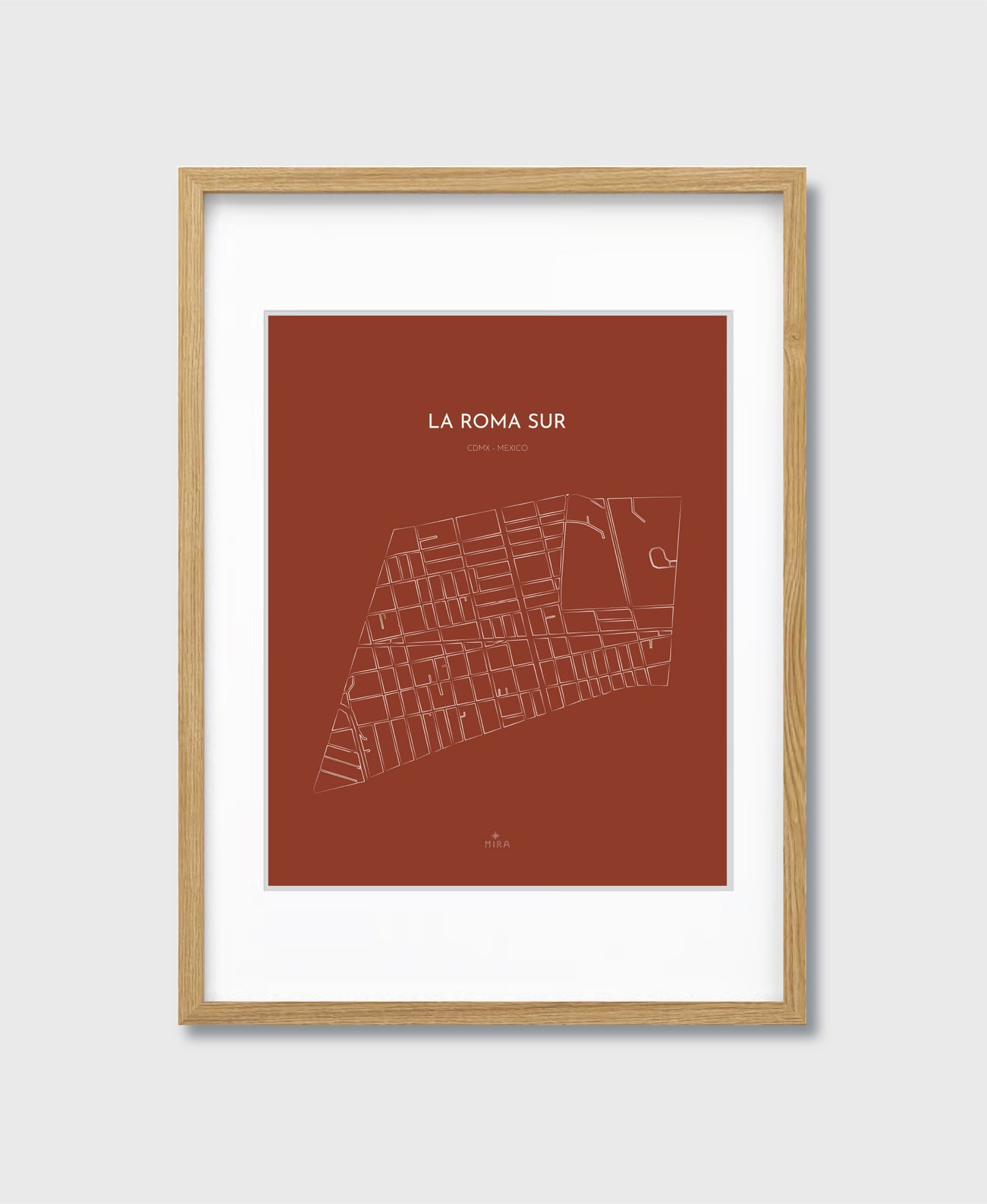 THE MAP - LA ROMA SUR - CDMX - MEXICO