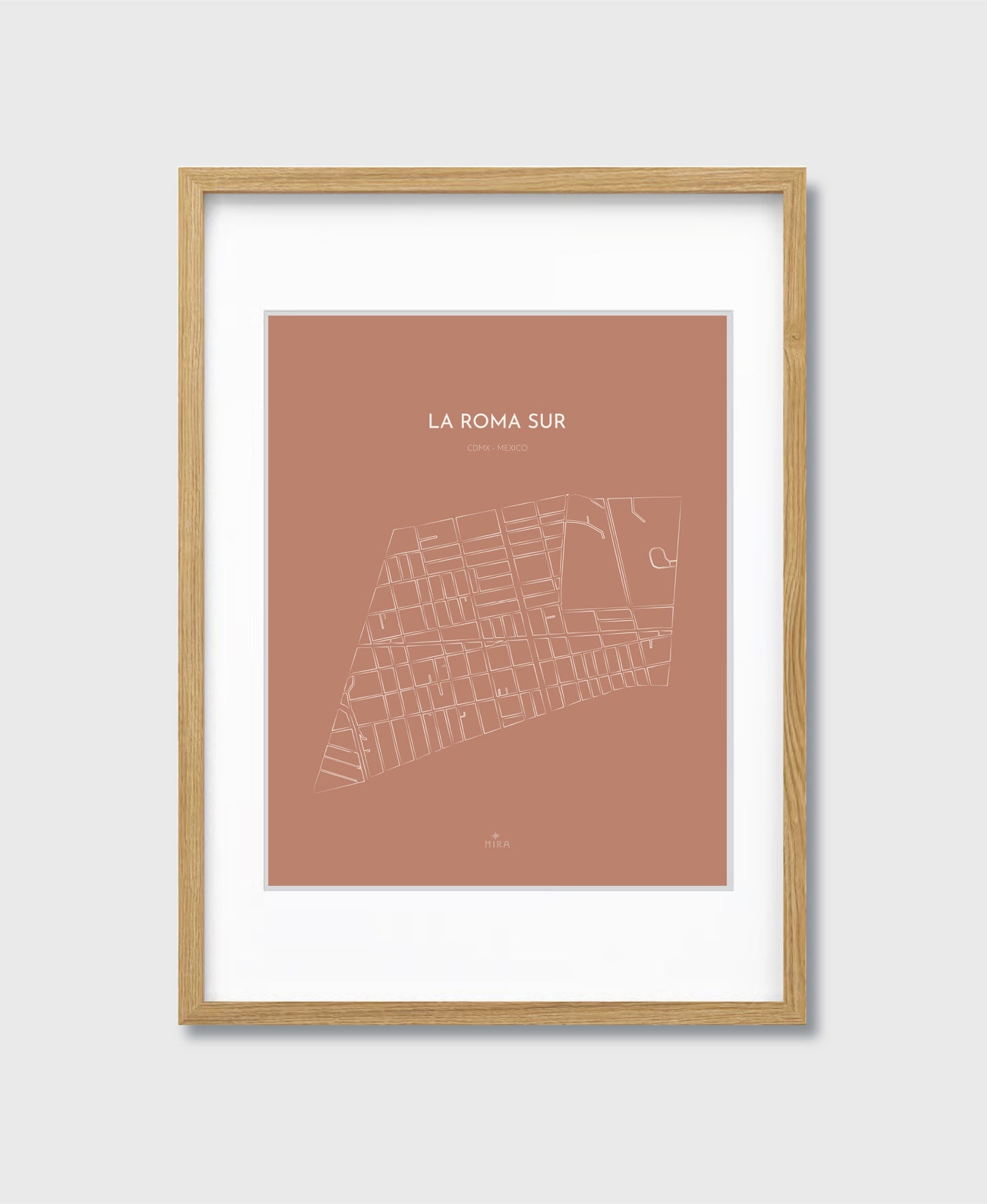 THE MAP - LA ROMA SUR - CDMX - MEXICO