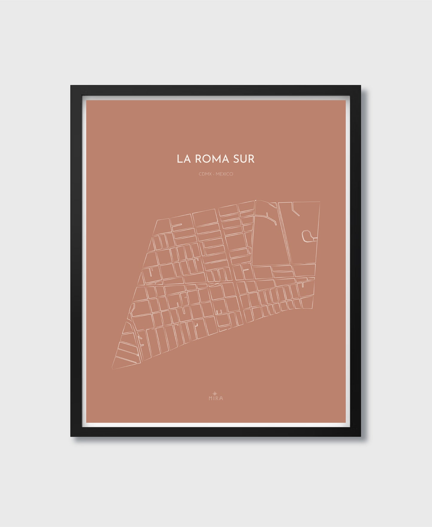 THE MAP - LA ROMA SUR - CDMX - MEXICO