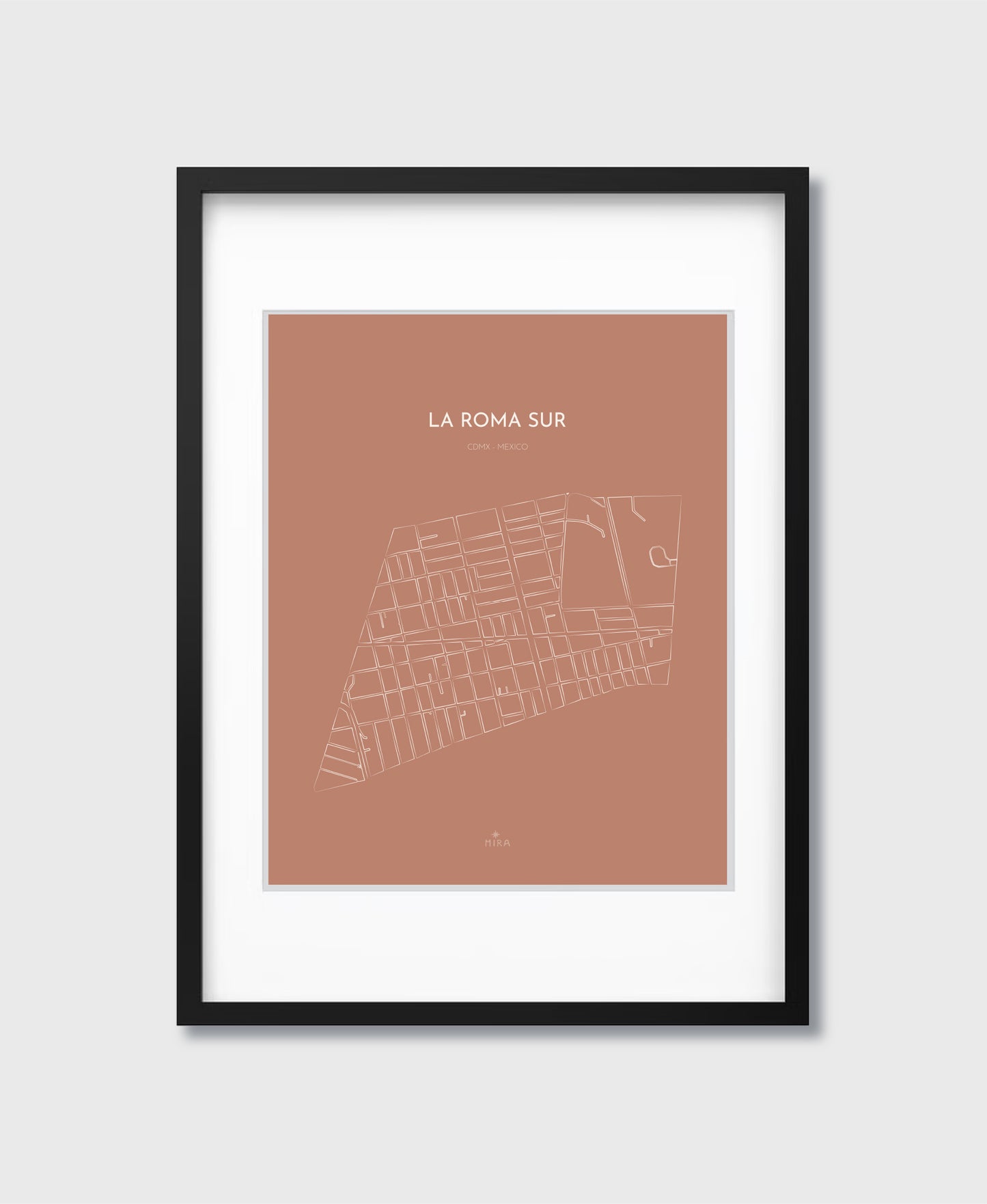 THE MAP - LA ROMA SUR - CDMX - MEXICO