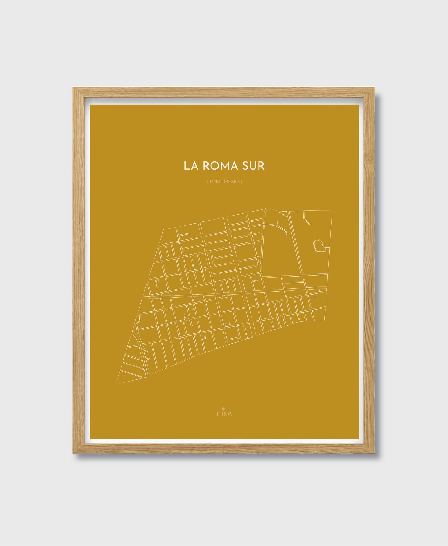 THE MAP - LA ROMA SUR - CDMX - MEXICO