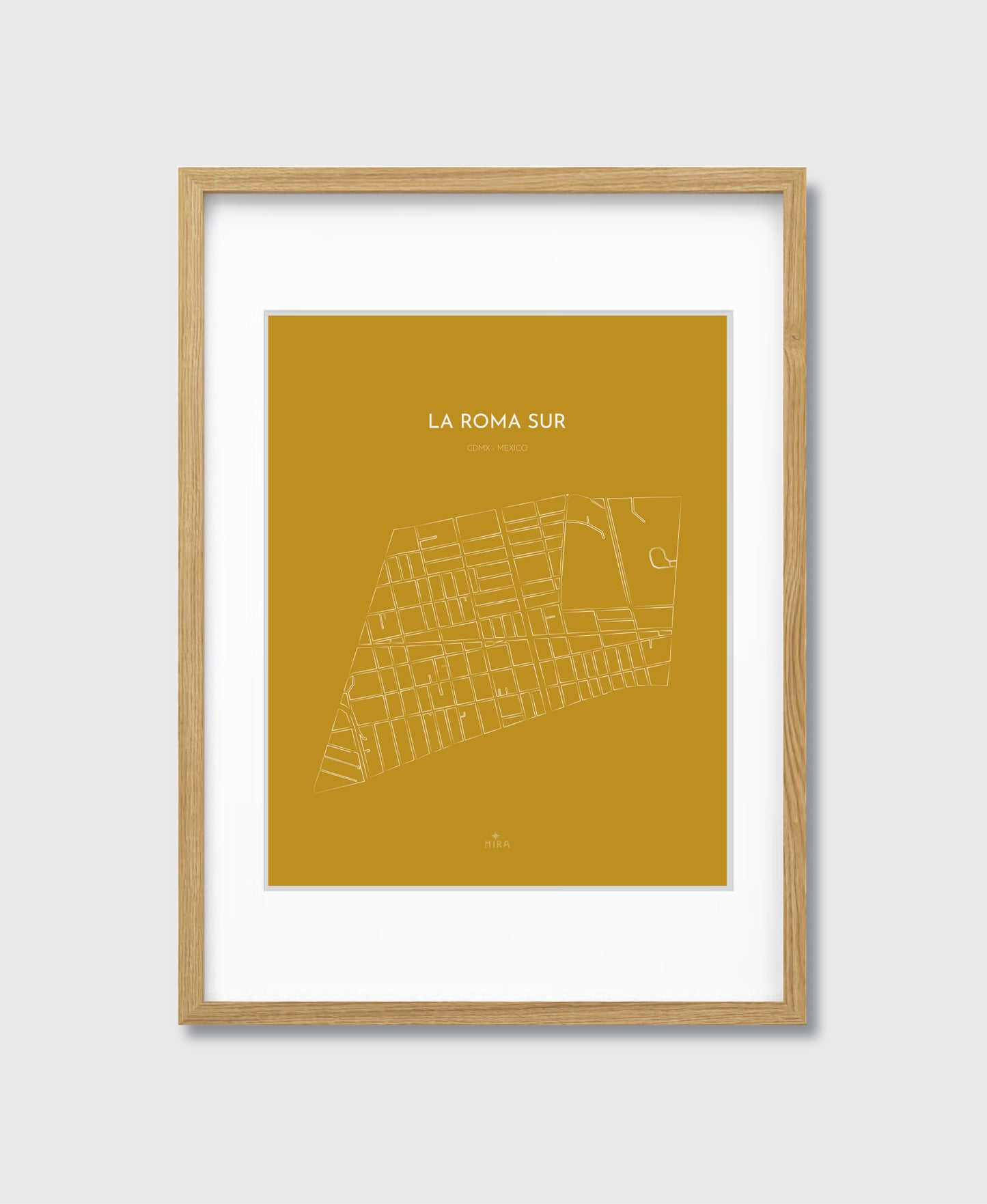 THE MAP - LA ROMA SUR - CDMX - MEXICO