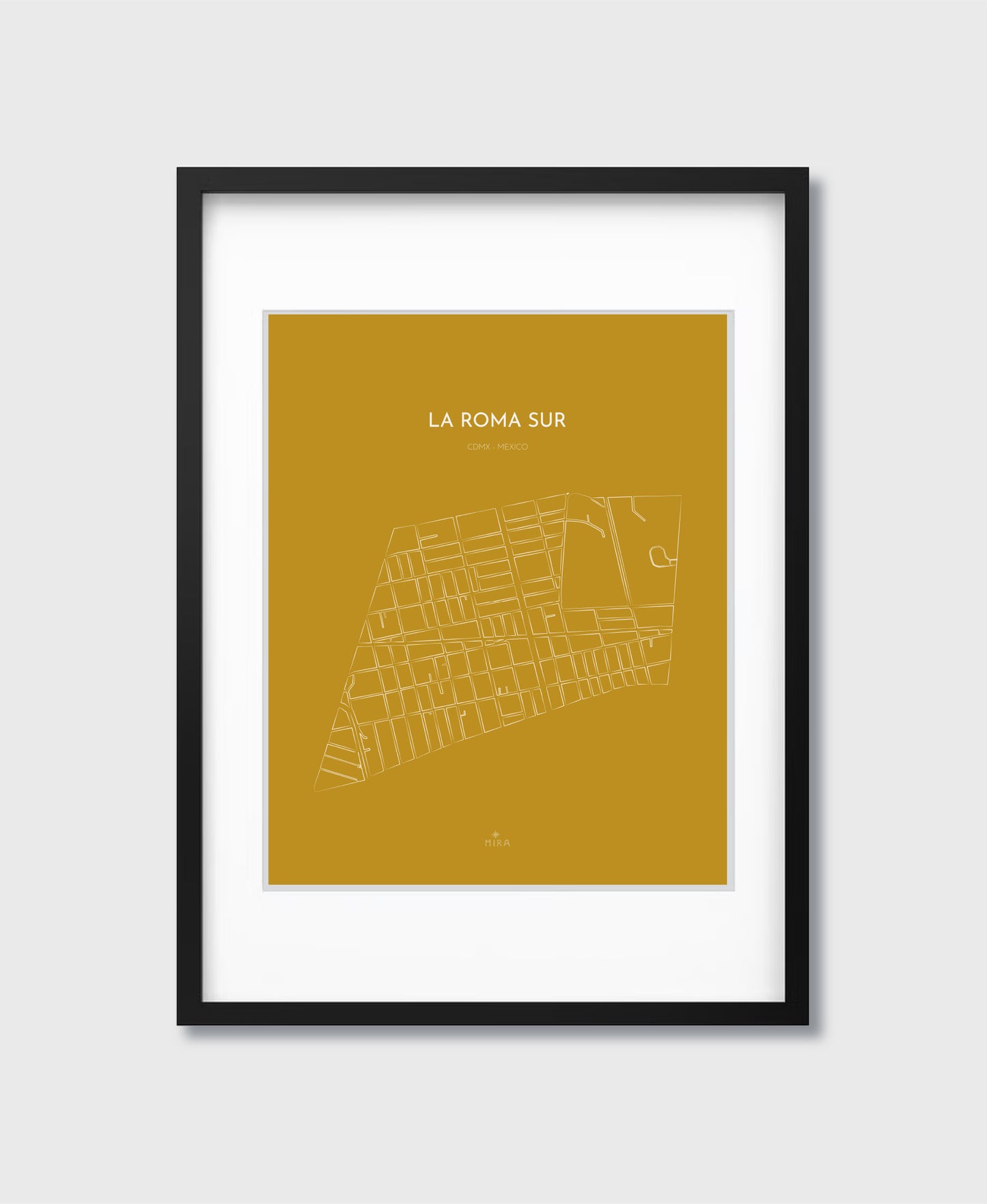 THE MAP - LA ROMA SUR - CDMX - MEXICO